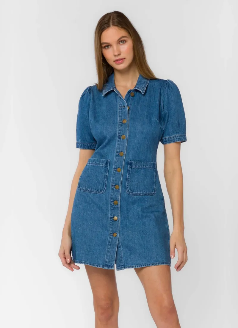 Alexia Denim Dress