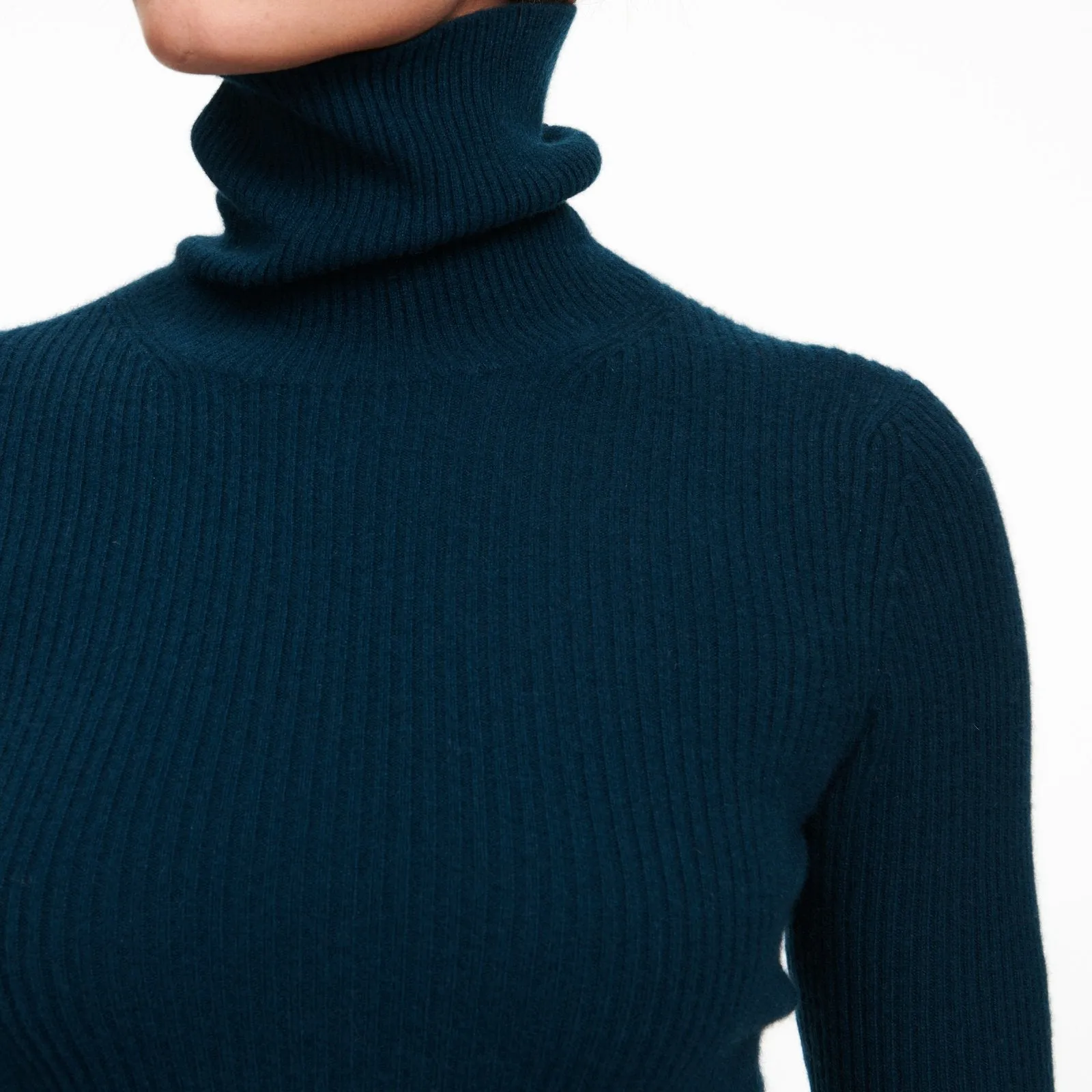 Cashmere Ribbed Turtleneck