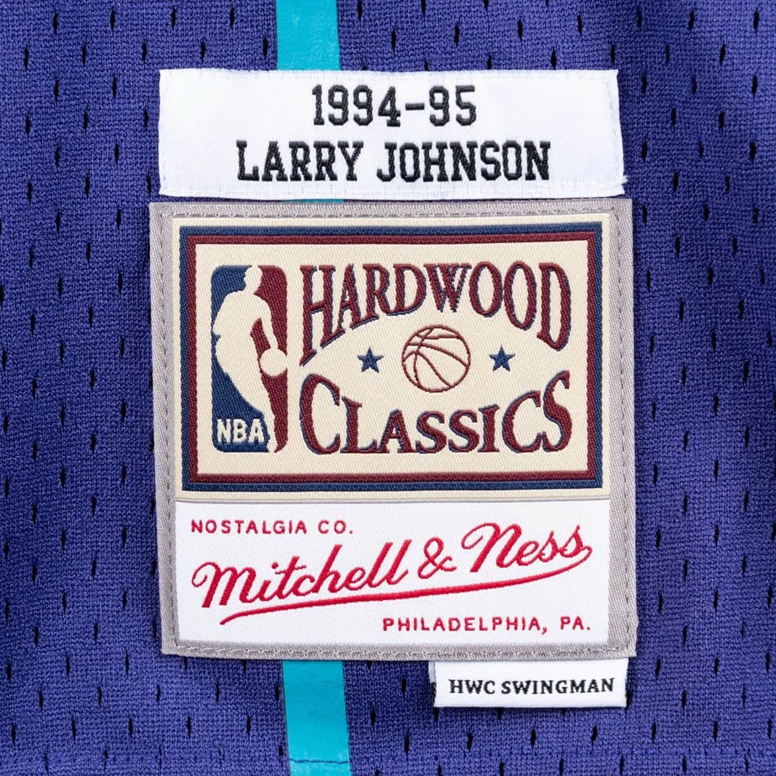 Charlotte Hornets 1994-95 Larry Johnson 2 Hardwood Classics Swingman Alternate Jersey by Mitchell & Ness