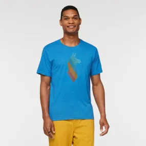 Llama Stripes T-Shirt - Men's