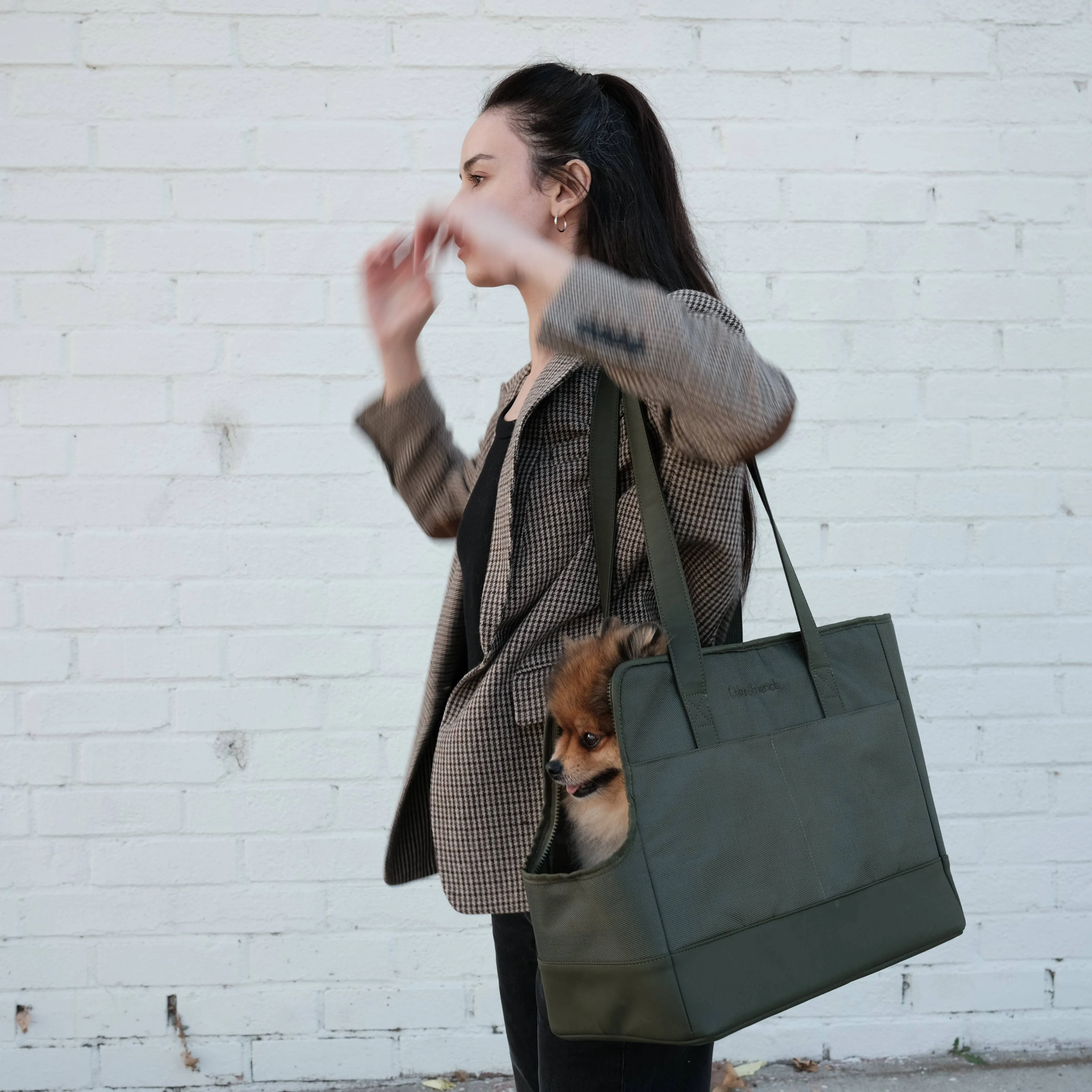 Sage Green Pet tote bag