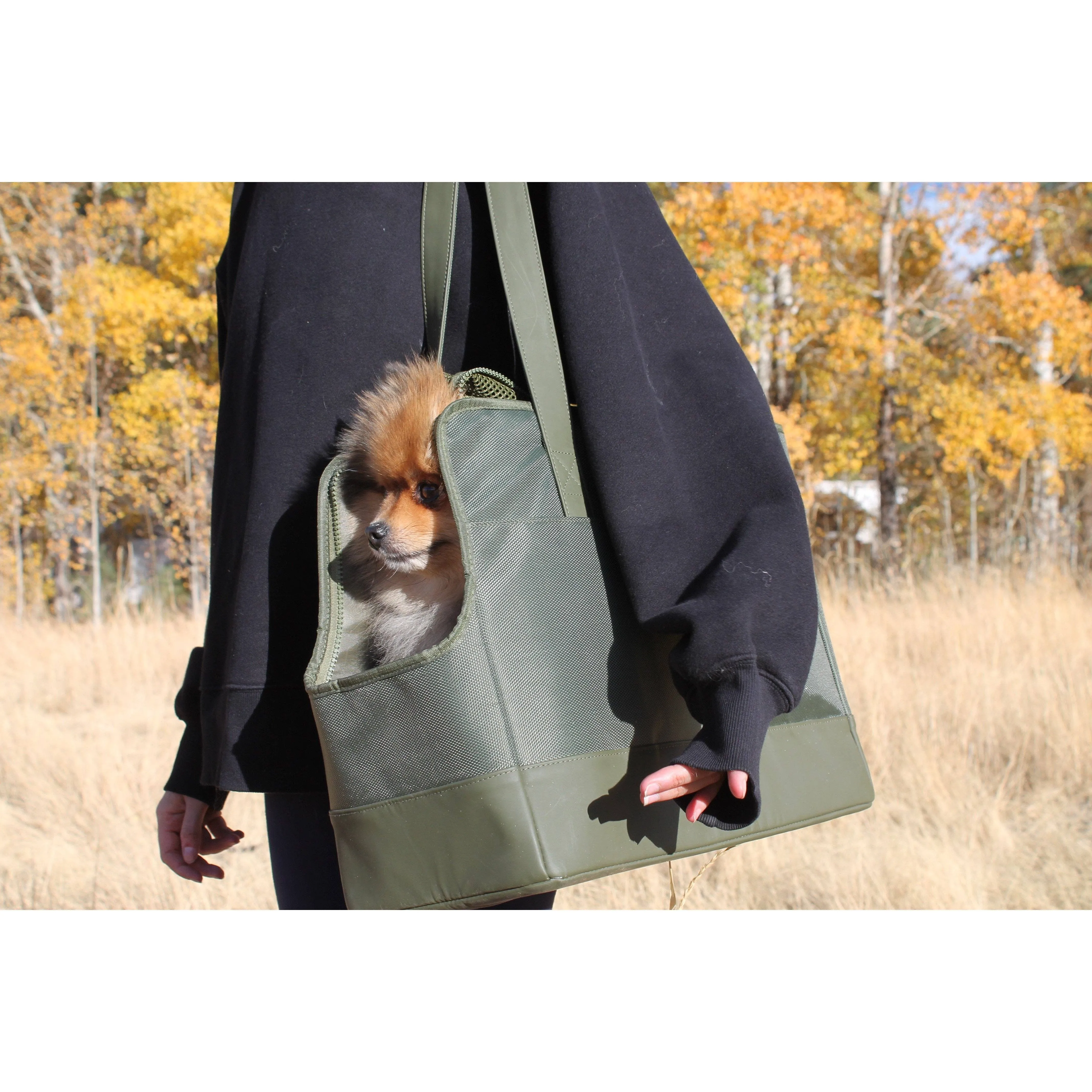 Sage Green Pet tote bag