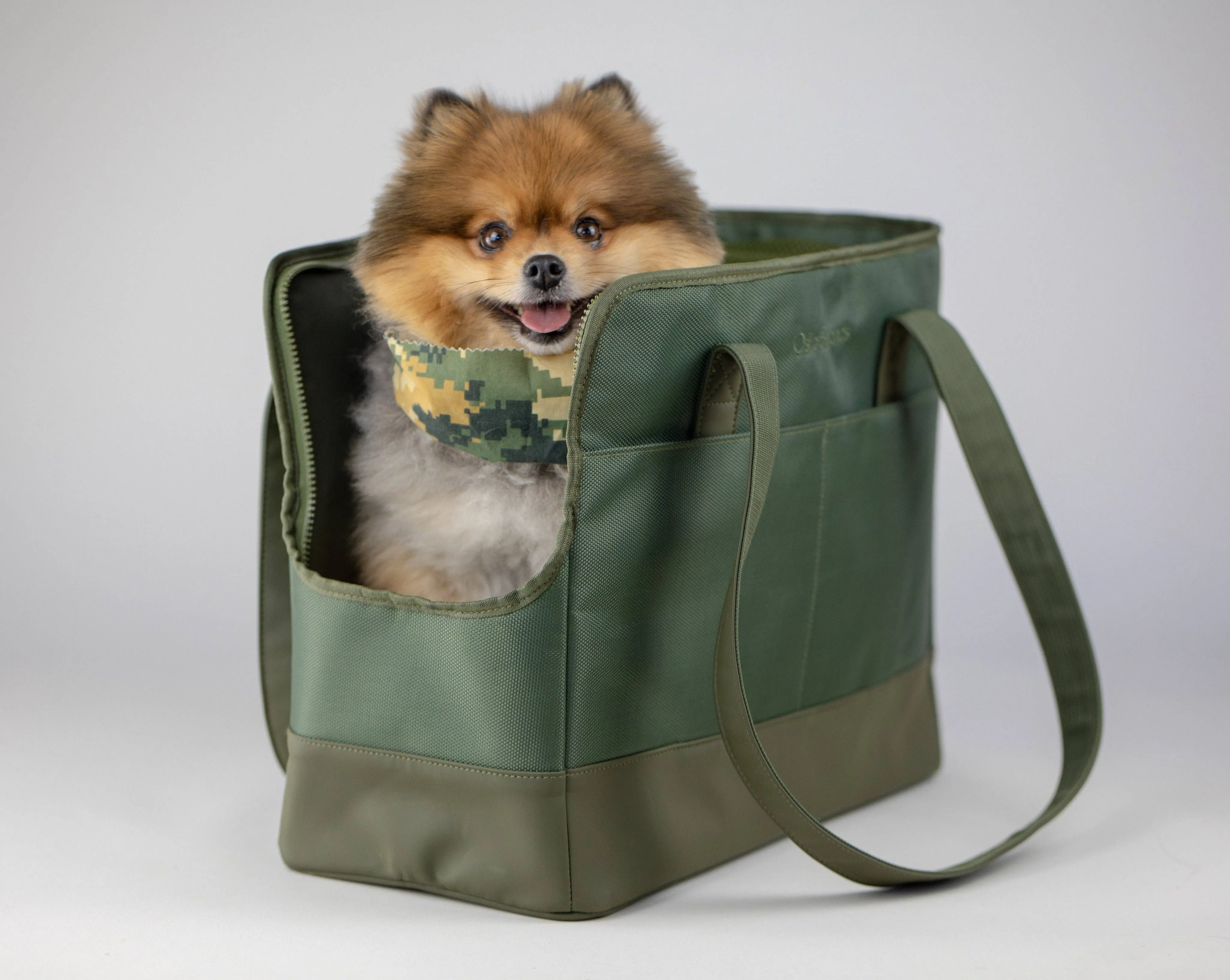 Sage Green Pet tote bag