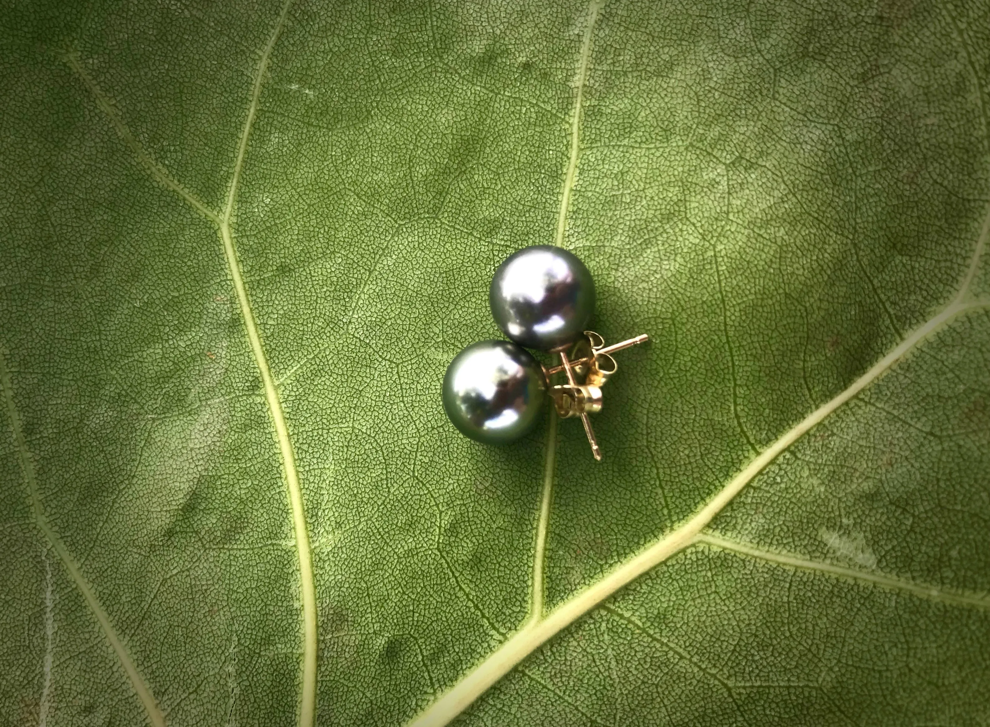 Tahitian Pearl 18kt Stud Earrings